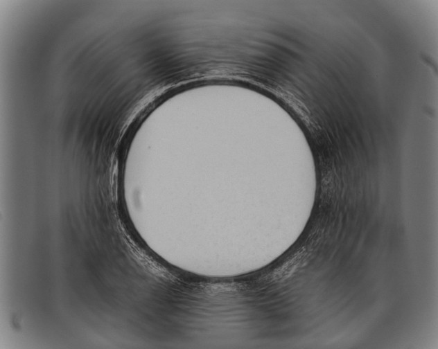 X0000097861126200804041522