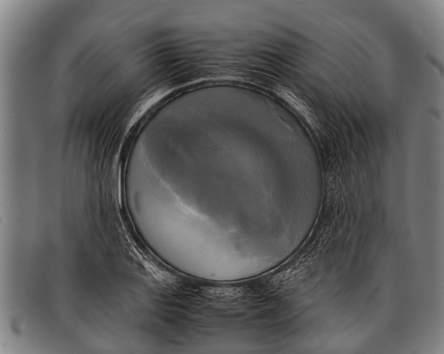 X0000097861127200804041522