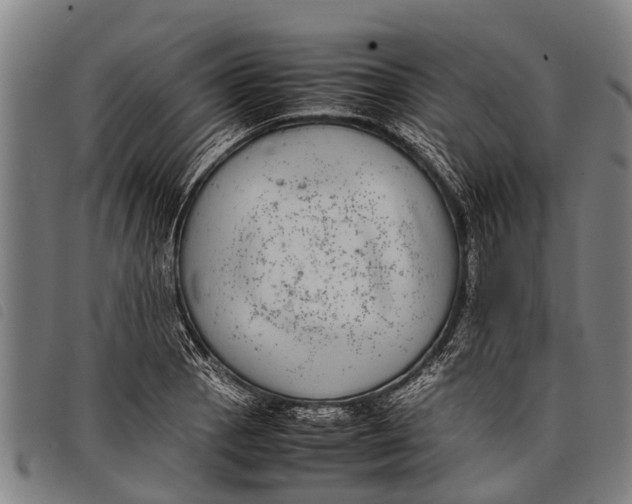 X0000097861129200804041523