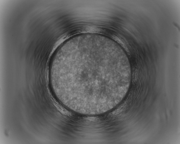 X0000097861130200804041523