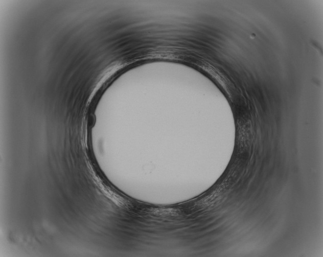 X0000097861131200804041523