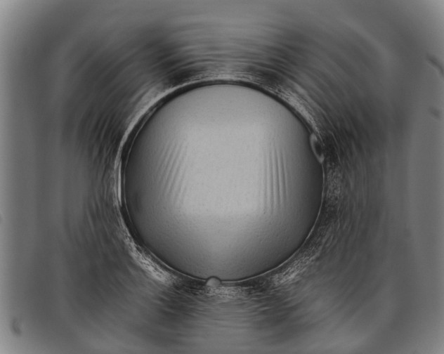 X0000097861132200804041523