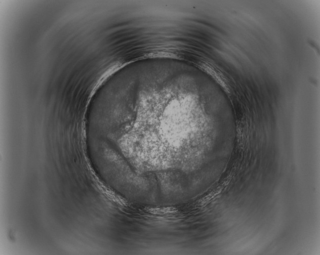 X0000097861133200804041523