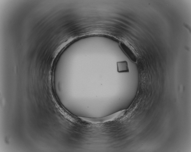 X0000097861134200804041523