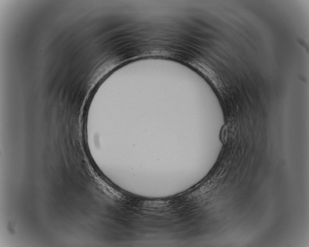 X0000097861135200804041523