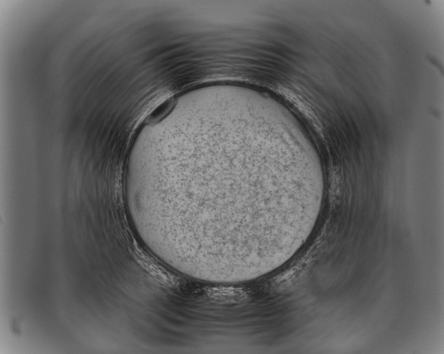 X0000097861137200804041523