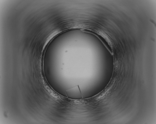 X0000097861138200804041523