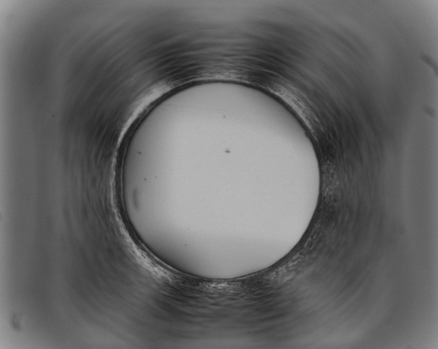 X0000097861139200804041523