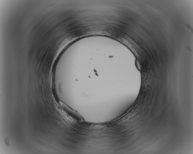 X0000097861140200804041523