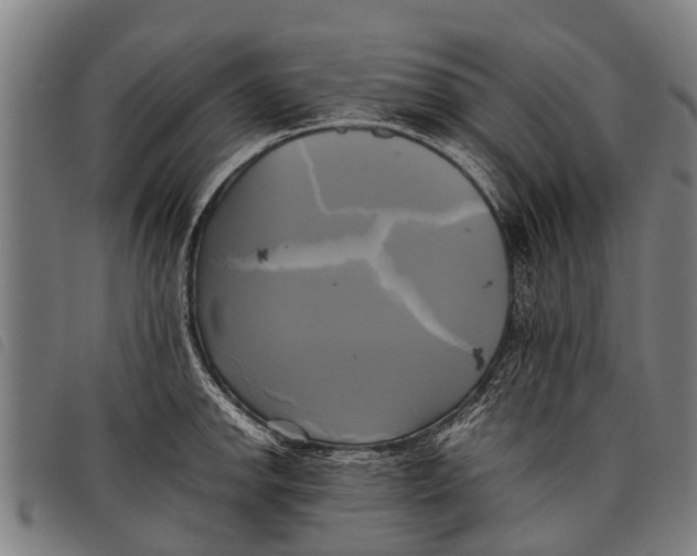 X0000097861142200804041523