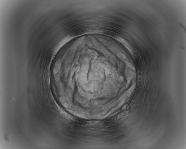 X0000097861143200804041523