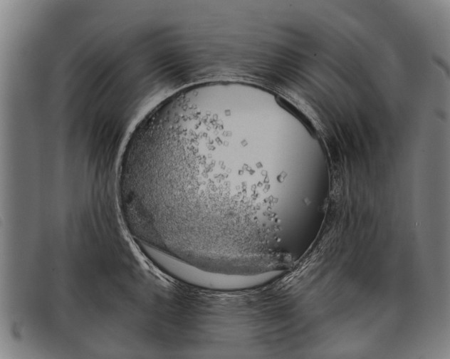 X0000097861144200804041523