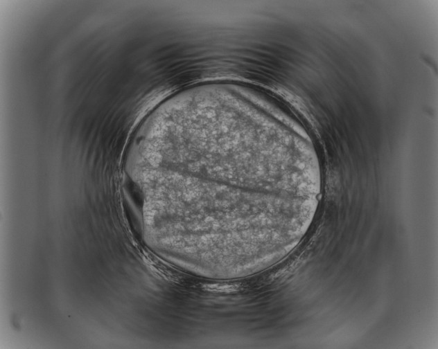 X0000097861145200804041523