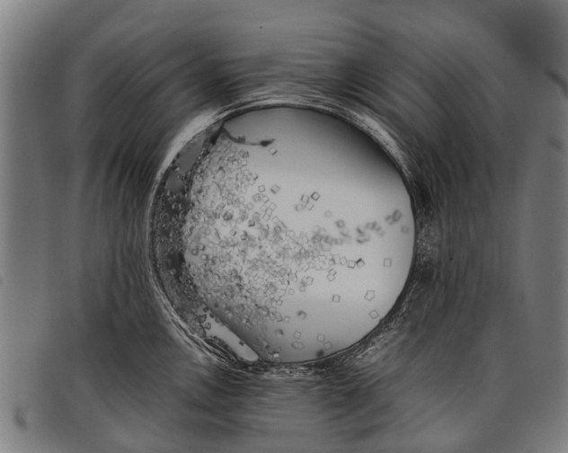 X0000097861146200804041523