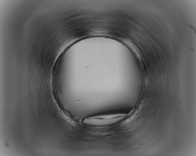 X0000097861149200804041523