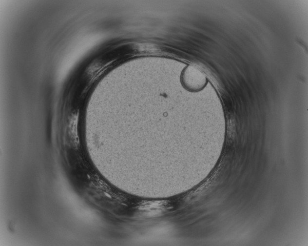 X0000097861150200804041523