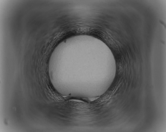 X0000097861153200804041522