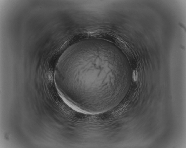 X0000097861155200804041522