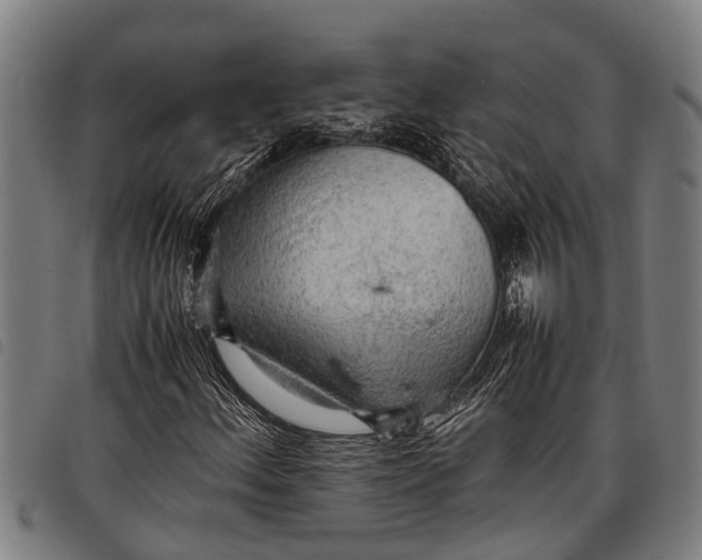 X0000097861156200804041522