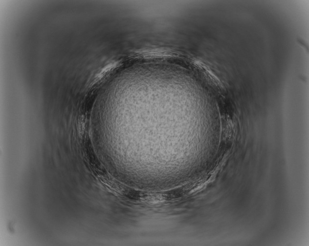 X0000097861157200804041522