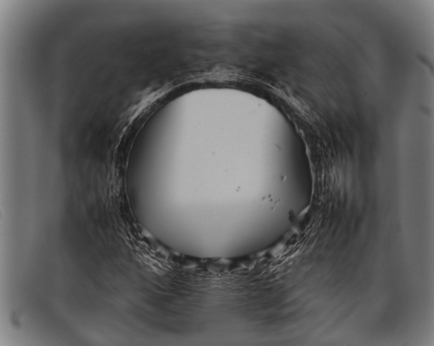 X0000097861160200804041522