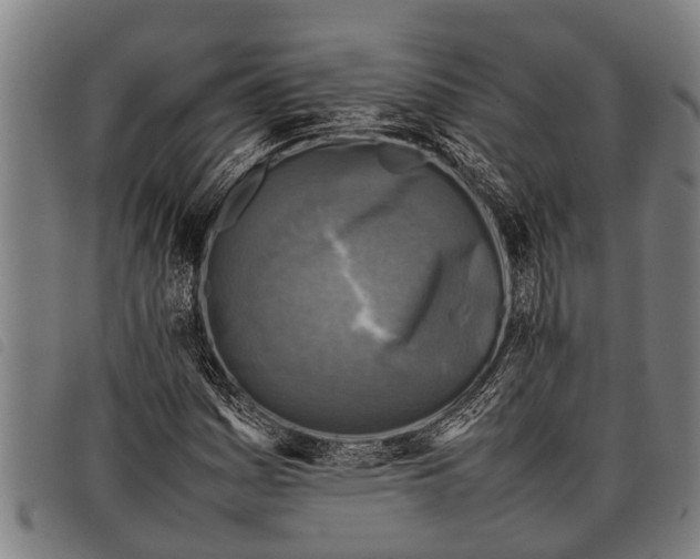 X0000097861161200804041522