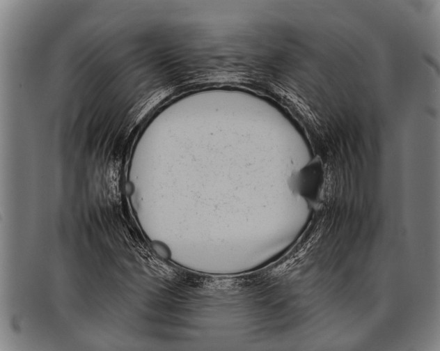 X0000097861162200804041522