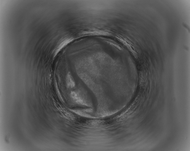 X0000097861163200804041522