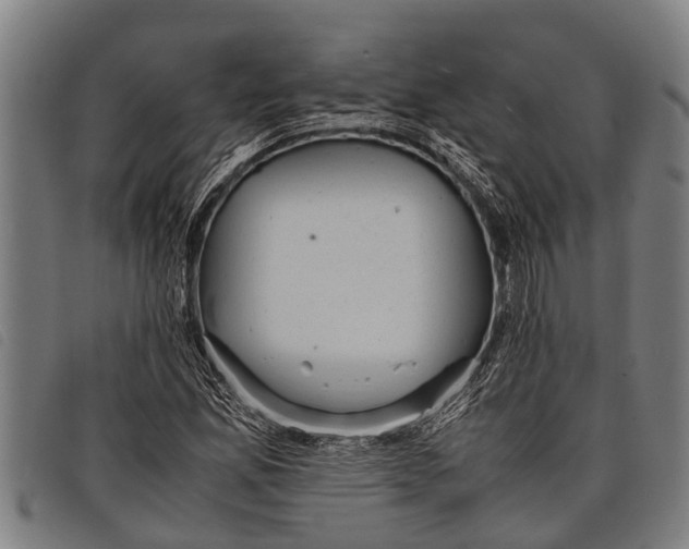 X0000097861165200804041522