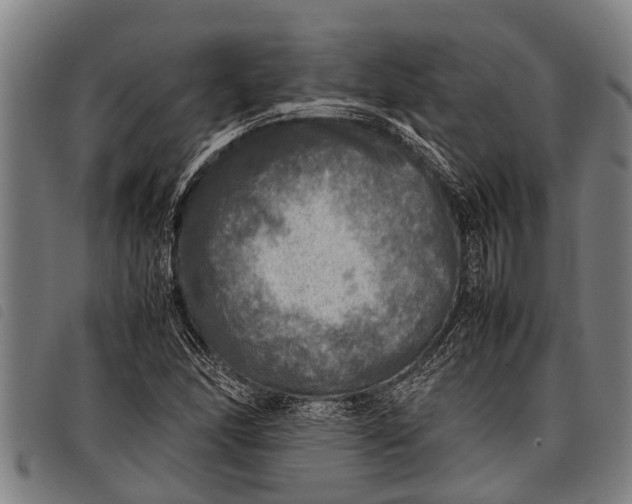 X0000097861166200804041522