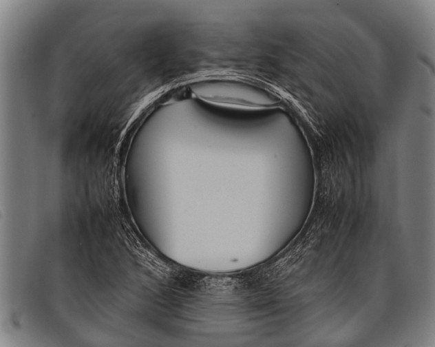 X0000097861168200804041522