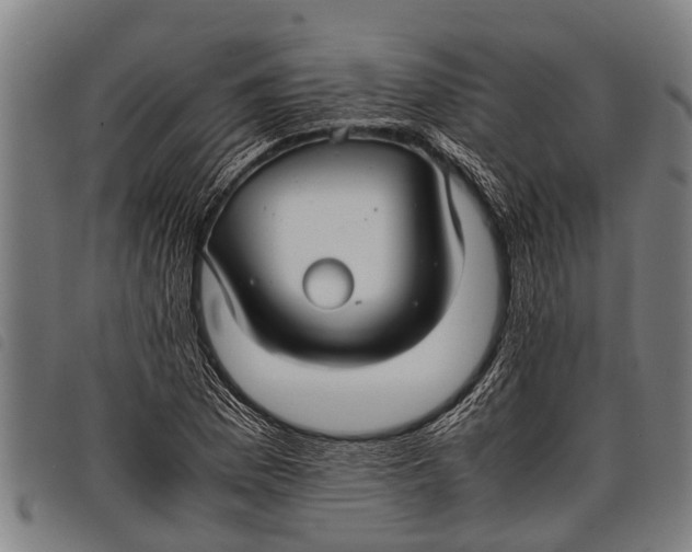 X0000097861169200804041522