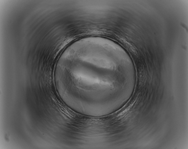 X0000097861170200804041522