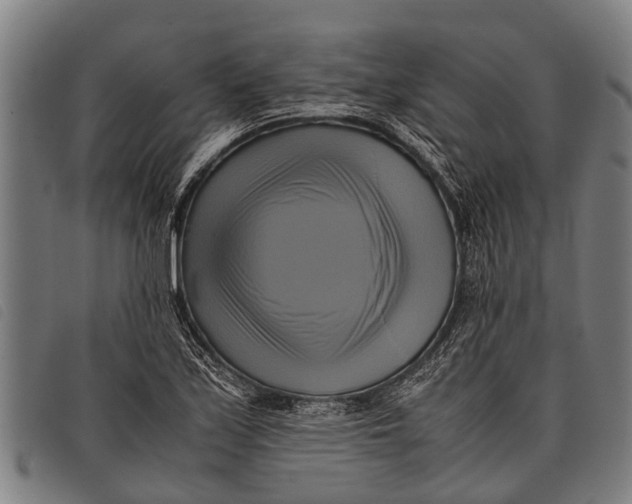 X0000097861171200804041522