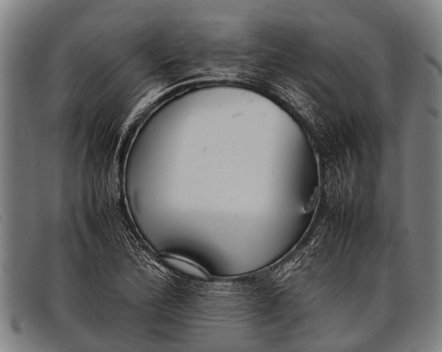 X0000097861172200804041522