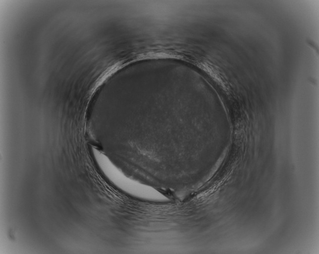 X0000097861173200804041522