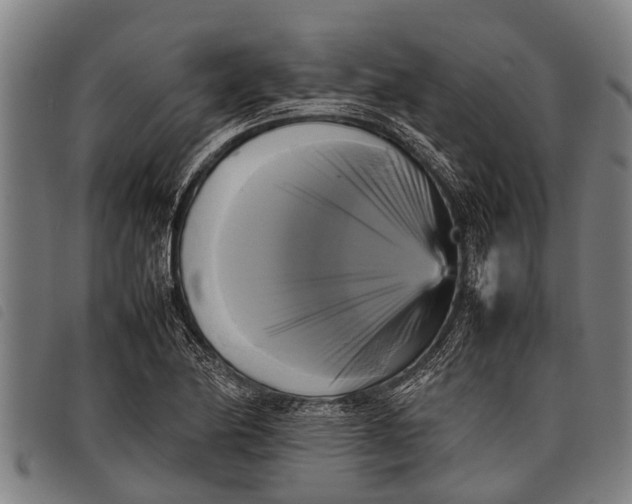 X0000097861174200804041522