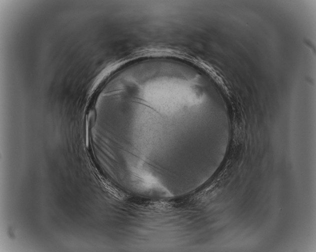 X0000097861175200804041522