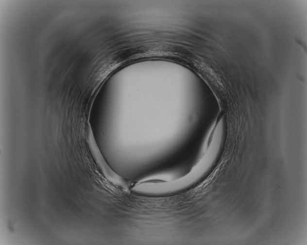 X0000097861177200804041522