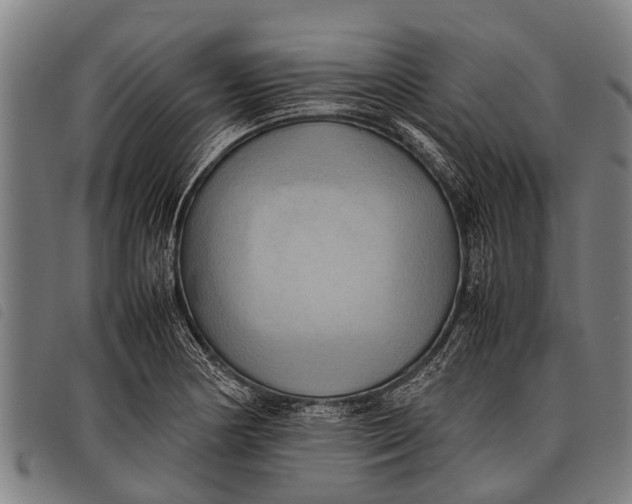 X0000097861178200804041522