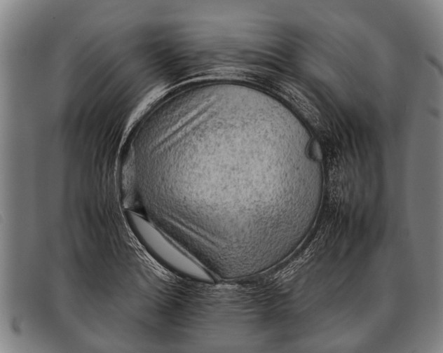 X0000097861180200804041522