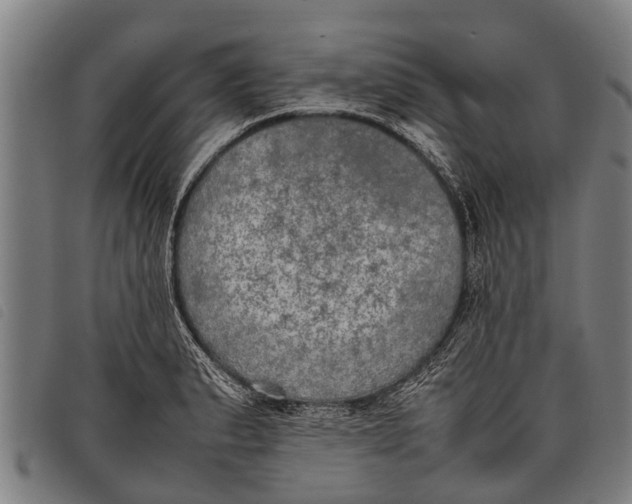 X0000097861183200804041522