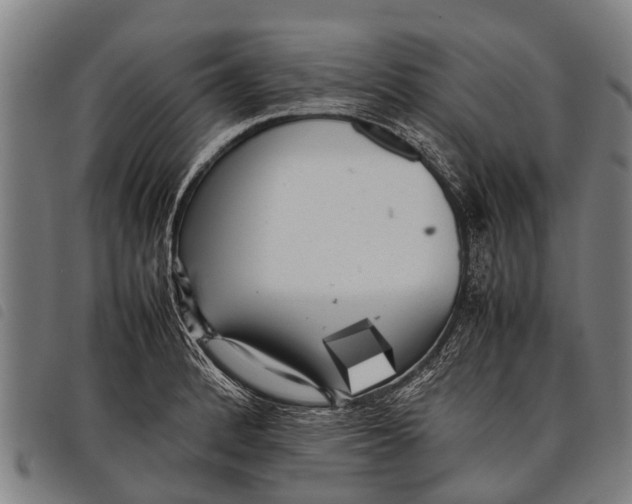 X0000097861184200804041522