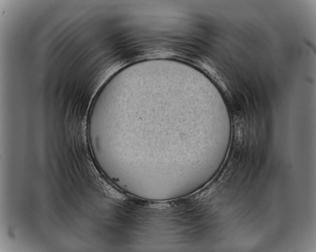 X0000097861186200804041522