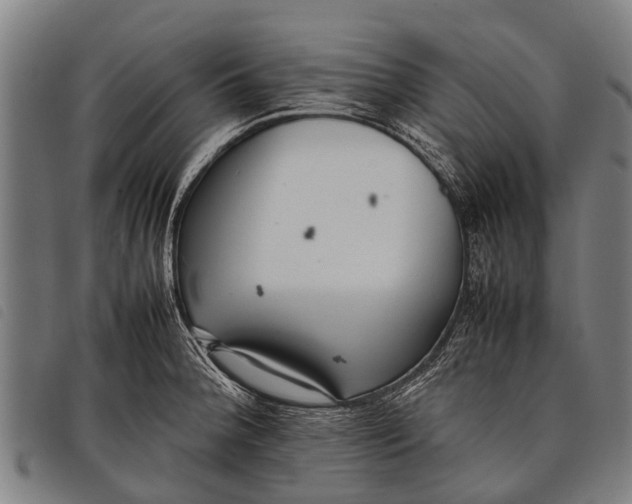 X0000097861188200804041522