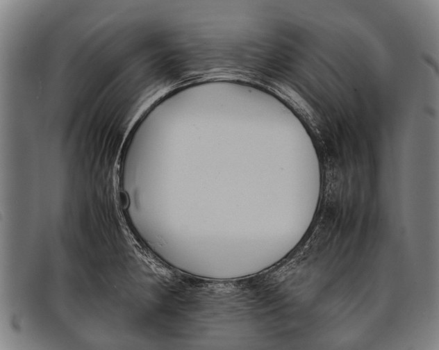 X0000097861190200804041522