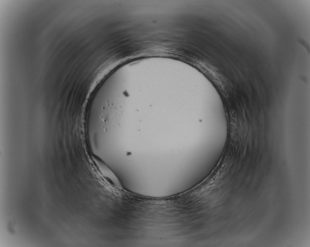 X0000097861192200804041522