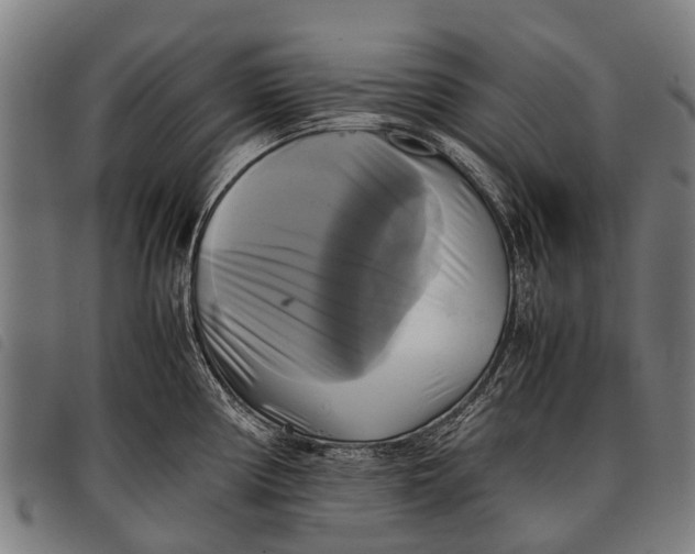 X0000097861194200804041522