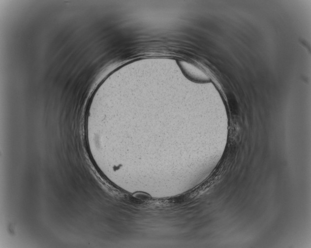 X0000097861195200804041522