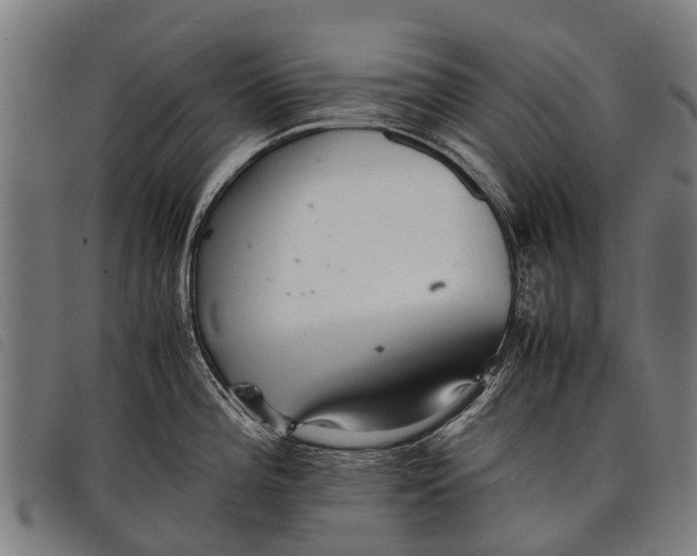 X0000097861196200804041522